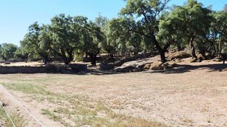 Solar en venta en San Vicente de Alcántara