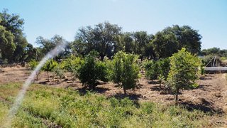 Solar en venta en San Vicente de Alcántara