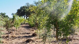 Solar en venta en San Vicente de Alcántara