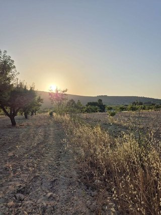 Solar en venta en Bullas