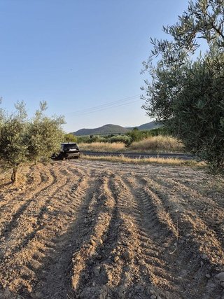 Solar en venta en Bullas