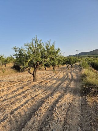 Solar en venta en Bullas