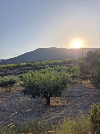 Solar en venta en Bullas