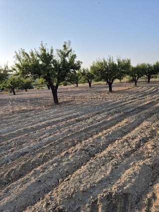 Solar en venta en Bullas
