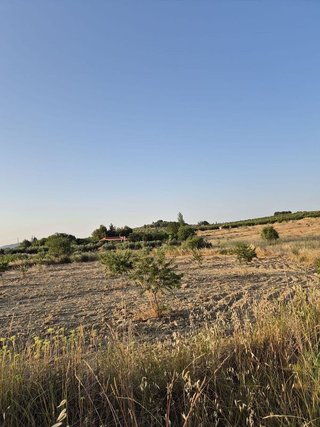 Solar en venta en Bullas