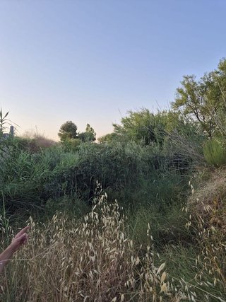 Solar en venta en Bullas