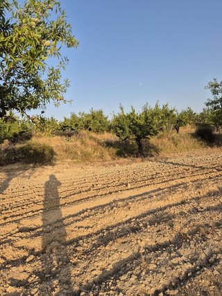 Solar en venta en Bullas