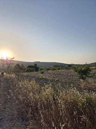 Solar en venta en Bullas