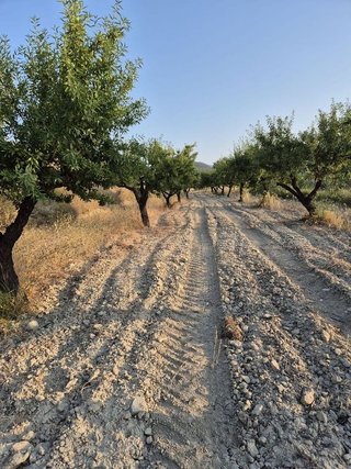 Solar en venta en Bullas