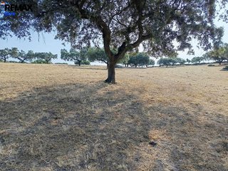 Terreno en venta en Alburquerque