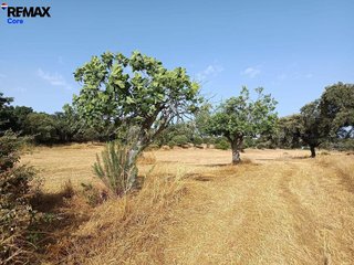 Terreno en venta en Alburquerque