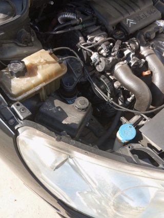 407 ws 1600 HDI