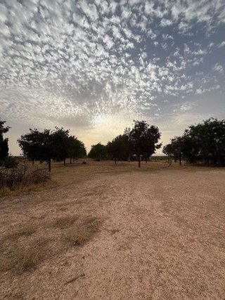 Nave industrial en venta en Centro en Valdepeñas