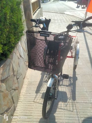 Triciclo Eléctrico Monty 5 Marchas