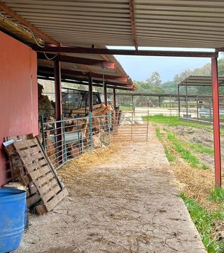 Casa rural en venta en Jimena de la Frontera