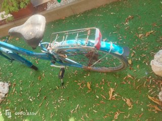 Bicicleta de paseo azul