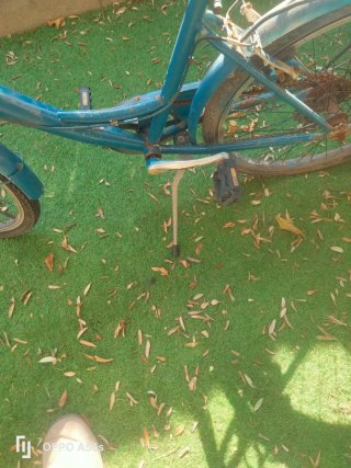 Bicicleta de paseo azul
