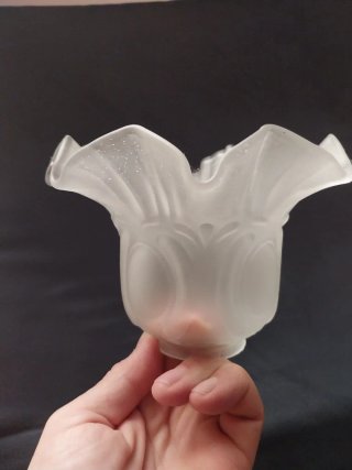 6 Tulipas de lámpara de cristal