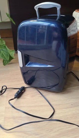Mini Nevera Portátil