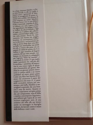 "La bruttina stagionata", romanzo