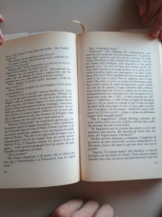 "La bruttina stagionata", romanzo