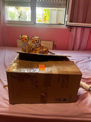 Unboxing