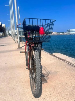 Bicicleta con cesta