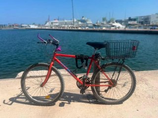 Bicicleta con cesta