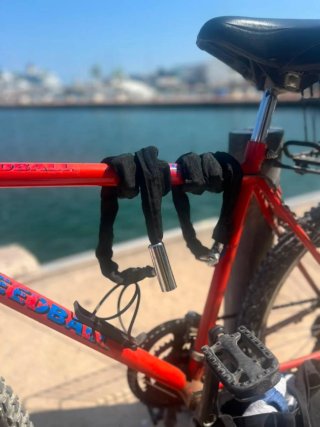 Bicicleta con cesta