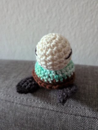Tartaruga Amigurumi Fatta a Mano