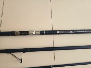 Caña de Pescar Daiwa Prime Caster S33-425H