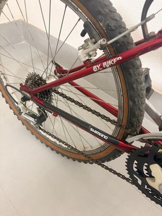 Bicicleta de montaña infantil 20”