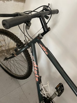 Bicicleta de adulto