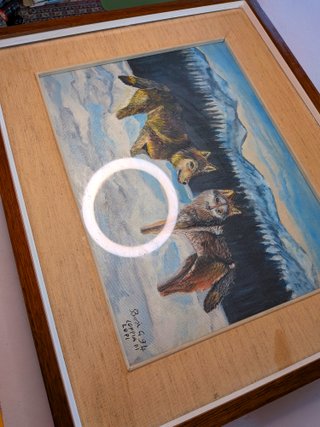 QUADRO OLIO SU TELA COPPIA DI LUPI 1994