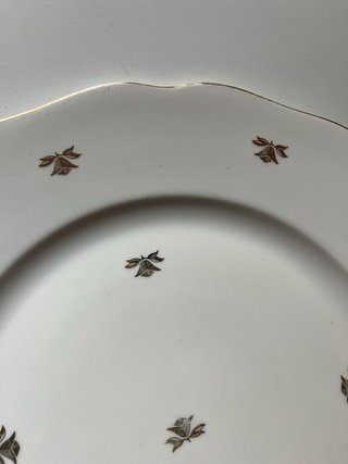 Piatto vintage in porcellana boema Haas & Czjzek