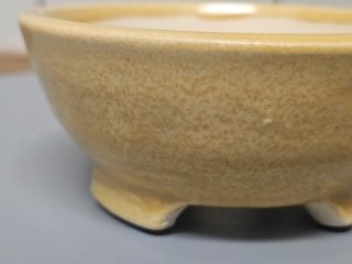 Maceta Kusamonos Cerámica Beige/Amarilla