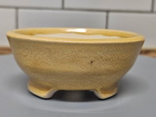 Maceta Kusamonos Cerámica Beige/Amarilla
