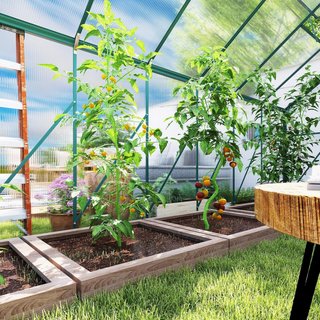 Invernadero de Policarbonato con Puerta Corredera y Ventana Abatible, Invernadero para Plantas de Aluminio, 244X500X216 Cm, Verde