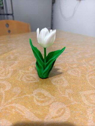 Tulipano 3D decorativo bicolore