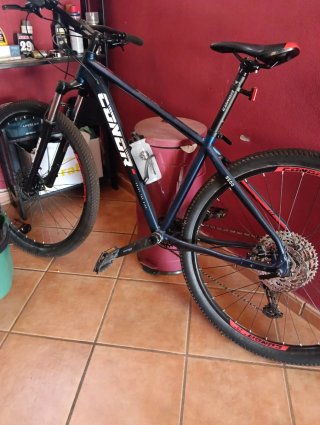 Bicicleta 29
