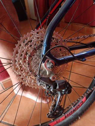 Bicicleta 29