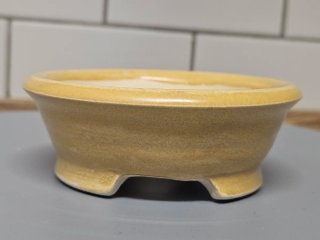 Maceta Kusamono Cerámica Beige/Amarilla