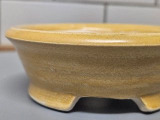 Maceta Kusamono Cerámica Beige/Amarilla