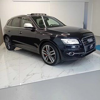 Audi SQ5 2017