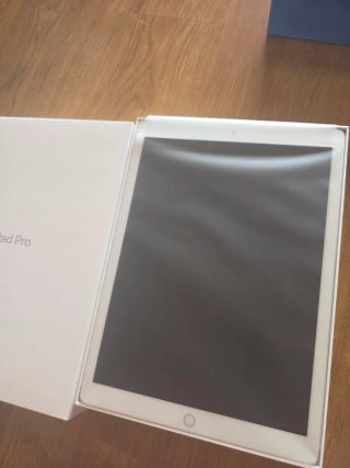 iPad Pro 12.9 2ª Gen 256GB + Apple Pencil