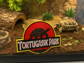 Tortuga park logo cartel
