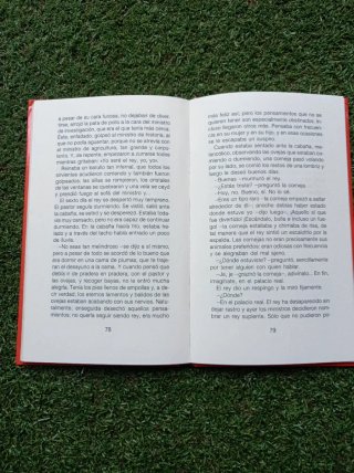 Libro el rey pequeño y gordito