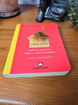 O Especialista em Feng Shui (Portuguese Edition)