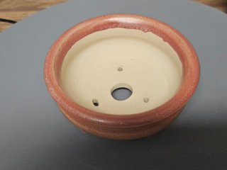Maceta kusamonos planta de acento