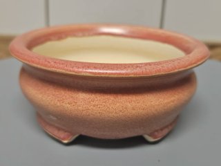 Maceta kusamonos planta de acento